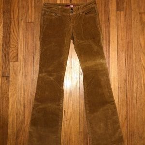 Hollister Brown Courdoroy Jeans / Pants ,Flare, 1